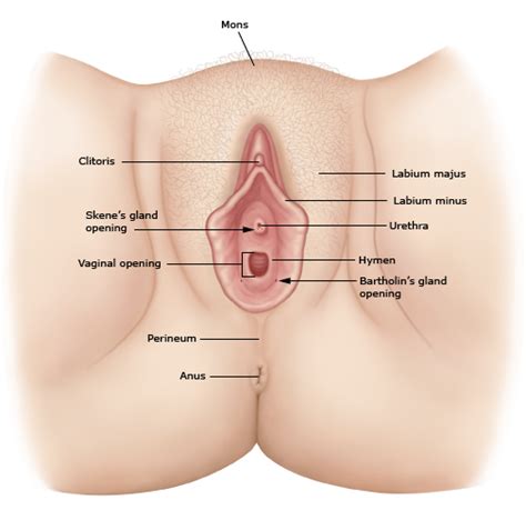 itching clitoris skenes gland infection porn tube