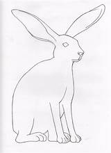 Rabbit Jack Drawing Getdrawings sketch template