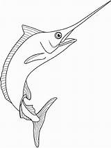 Marlin Spearfish Pez Swordfish Espada Arte Bahamas Colorear Bah Martial Muay Pescador Oceano Marítima Sombras Defino sketch template