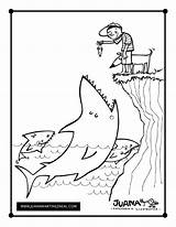 Coloring Shark sketch template