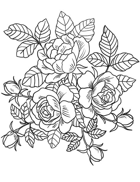 floral coloring pages  adults  coloring pages  kids