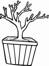 Coloring Trunk Tree Bonsai Clipart Outline Branch Template Cliparts Pot Drawing Trunks Kids Clipartbest Library Good Clip Pages Color sketch template
