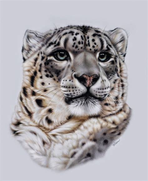 incredible  realistic animal paintings  heather lara