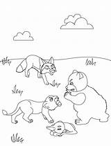 Fox Pages Coloring Bear Lion Print Kids Fables Index Aesop Popular sketch template