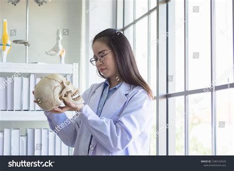 doctor checking skull human head stock photo  shutterstock