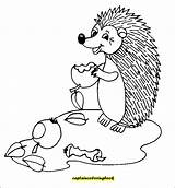 Hedgehogs Coloring Edit Pm sketch template