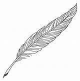 Quill Feather Ink Pen Nib Clipart Pens Line Drawing Leaf Svg Schreibfeder Plant Vector Pdf Peacock Commercially Modify Attribution Use sketch template