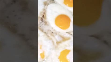 Huevos Entomatados 🍅🍅🍅💗💯mi Cocina Tradicional Youtube