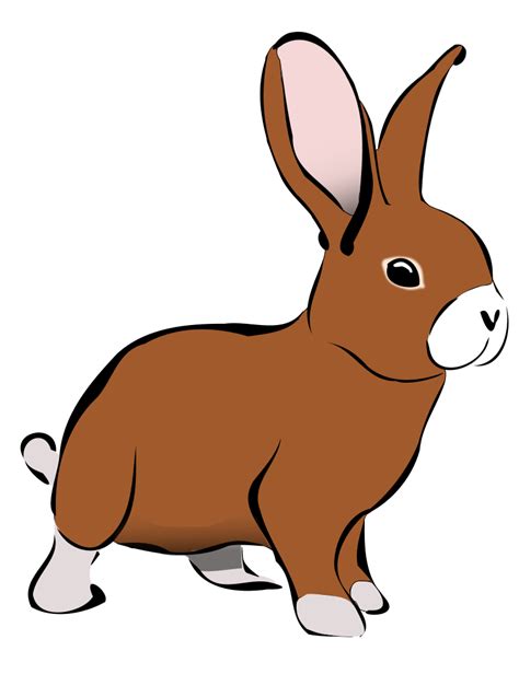 cartoon rabbit image    clipartmag