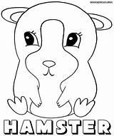Hamster Coloring Pages Animal sketch template
