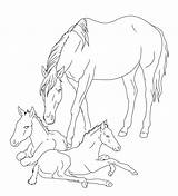 Coloring Horse Pages Realistic Mare Foals Foal Drawing Horses Print Pony Color Lineart Rocks Baby Two Sketch Printable Twin Ponies sketch template