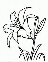 Coloring Pages Crayola Popular Flower sketch template