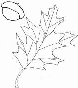 Leaf Coloring Acorn Piecing sketch template