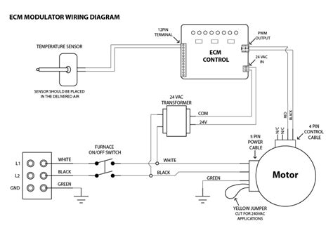 cat  cat  pin ecm wiring diagram collection