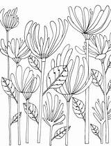 Color Botanicals Coloring Book Pages Botanical Just Add Adult Adults Illustrations Books Amazon Flowers Colour Customize Hang Original Line sketch template