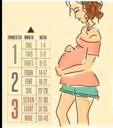 pregnancy are you pregnant or going through a high risk