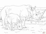 Rinoceronte Colorir Coloriage Rhino Rinocerontes Rhinoceros Kleurplaten Mother Neushoorn Cucciolo Imprimer Coloriages Supercoloring Petit Colorier Moeder Kleurplaat Rhinocéros African sketch template