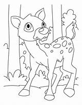 Deer Coloring Pages Template Tailed Fearful Drawing Baby Jumping Templates Popular Printable Getdrawings Coloringhome Comments sketch template