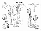 Desert Diorama Printable Plant Animal Exploringnature sketch template