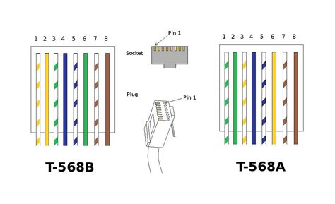 cate plug wiring diagram