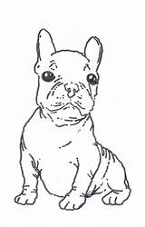 Bulldog Coloring French Pages Terrier Boston Printable West Color Highland Puppy Print Kids Nice Drawing Getcolorings Library Clipart Line Template sketch template