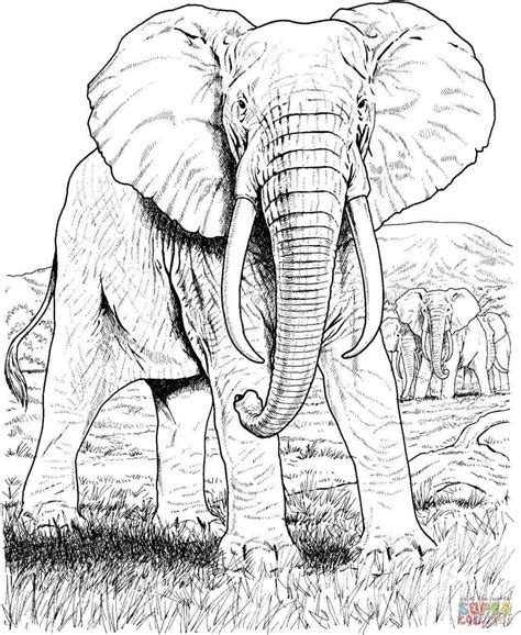 zebra coloring pages elephant coloring page mandala coloring pages
