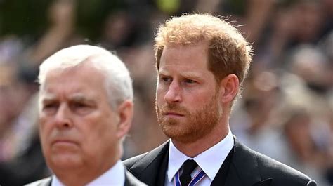 uk princes harry  andrew lose king stand  role