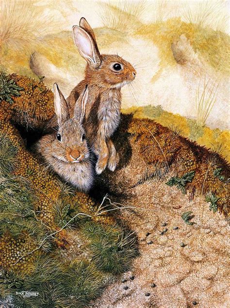 brer   rabbit rabbit painting rabbit art bunny art