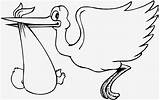 Storch Malvorlage Bewundernswert Ausmalbilder Malvorlagen sketch template