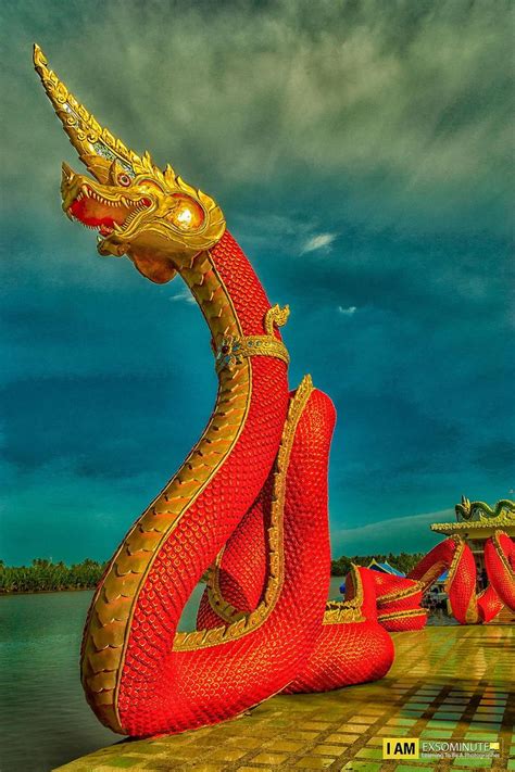 naga  innovare exs thai art asian dragon naga
