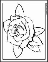 Rose Coloring Pages Kindergarten Printable Pdf Kids Printables Colorwithfuzzy sketch template