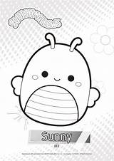 Squishmallow Squishmallows Wonder Bugs Squad Named Asd10 sketch template