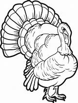 Coloring Turkey Pages Printable Kids Head Thanksgiving Drawing Print Color Realistic Cooked Fun Clipartmag Sheets Adult Filminspector Getcolorings Mpmschoolsupplies Choose sketch template