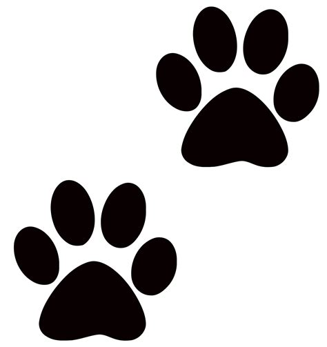 paw transparent background clipart