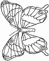 Farfalle Colorat Papillon Fluturi Mariposas Planse Bojanke Leptiri Crtež Papillons Fluture Bojanje Desene Flori Printanje Butterflies Coloratutto Djecu sketch template