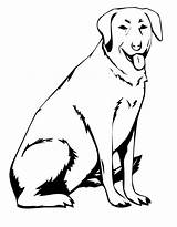 Coloring Labrador Lab Dog Pages Drawing Line Chocolate Yellow Sitting Printable Dogs Clipart Retriever Service Color Colouring Book Labs Puppy sketch template