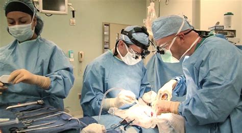 ucla kidney transplant program leads  nation  numbers  vision