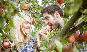 you better adam and eve it apples improve sex for women fruit