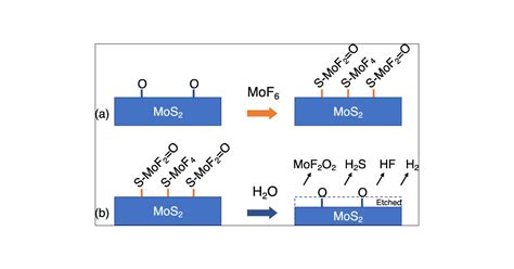 thermal atomic layer etching  mos  mof  ho chemistry