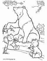 Bear Cubs Coloring Fruits Mother Eating Colouring Bears Printable Her Cute Two sketch template