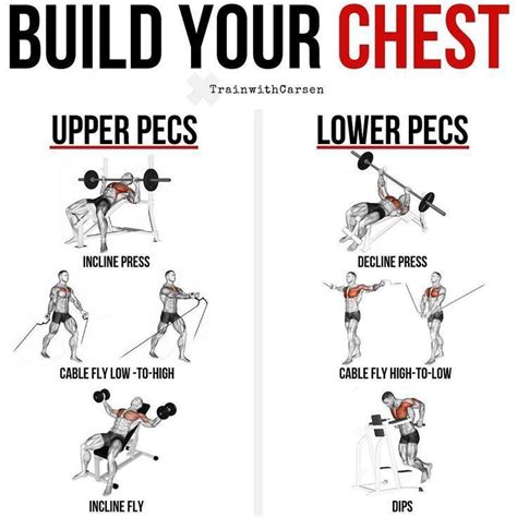 chest exercises  building muscle chest workouts