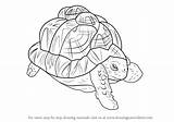 Indian Star Tortoise Draw Drawing Step sketch template