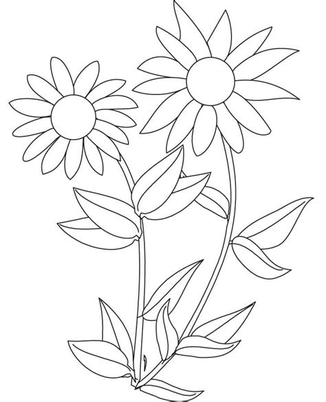 sunflower coloring pages  preschoolers printable coloring pages