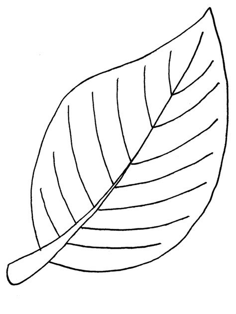 leaf coloring page images pictures becuo