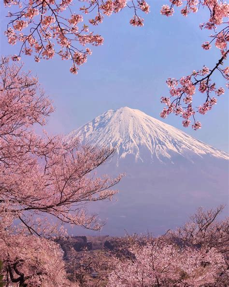 Amazing Nature Photography In Japan By Makiko Samejima Amazing Nature