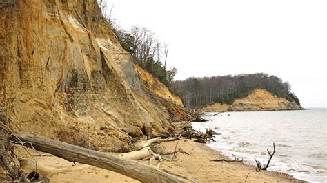 Stumbles Off The Map Spur Trail Calvert Cliffs State Park Lusby Md