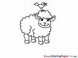 Sheep Coloring Pages Children Sheet Title sketch template