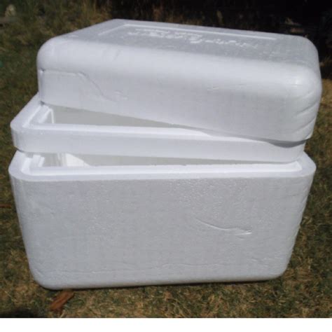 lg eps styrofoam insulated shipping cooler container  thick walls