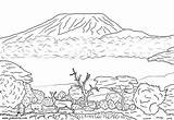 Coloring Kilimanjaro Mount Pages Ecosystem Color Print Drawings Printable Africa 49kb 427px sketch template