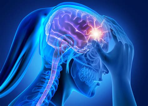 What Happens To Your Brain During A Concussion Canadian Legal News